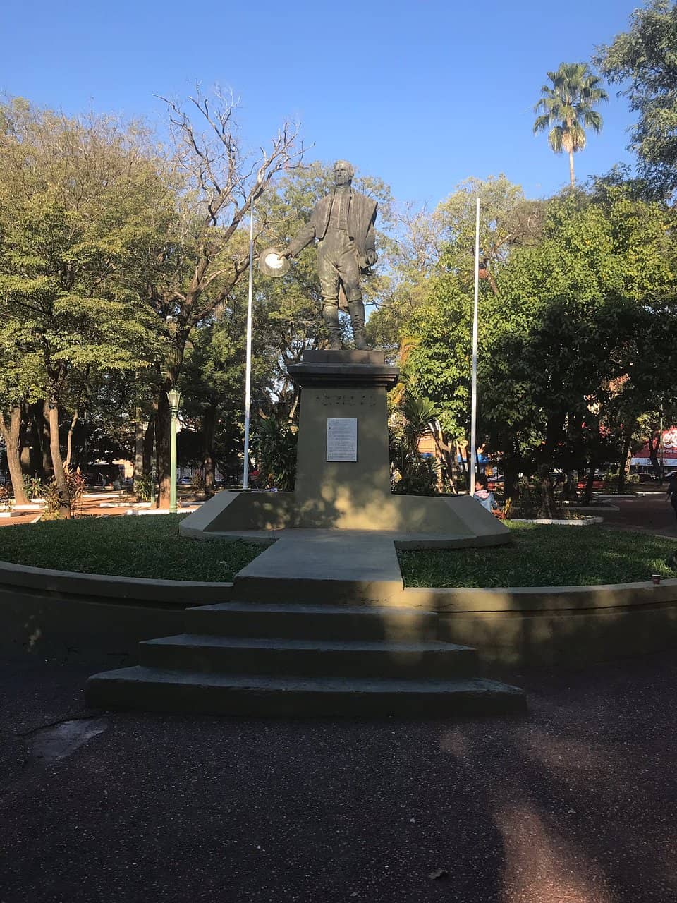 Green Oasis in the City