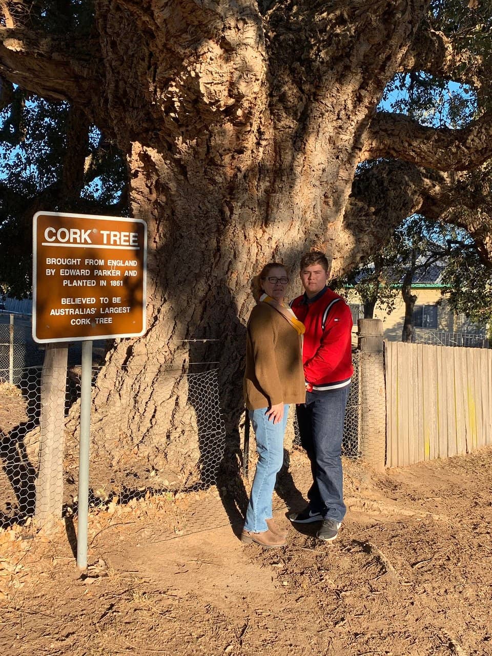 Legendary Wish Granting