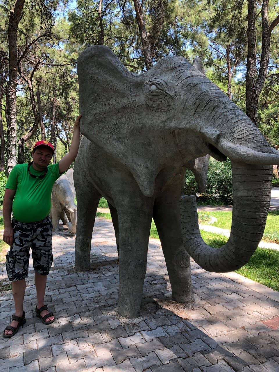 Diverse Animal Collection