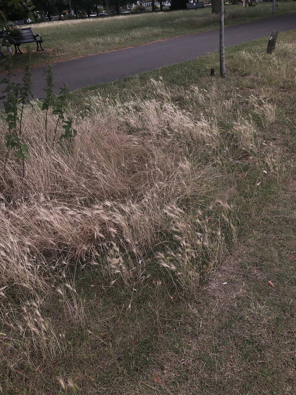 The Fingerprint Sculpture