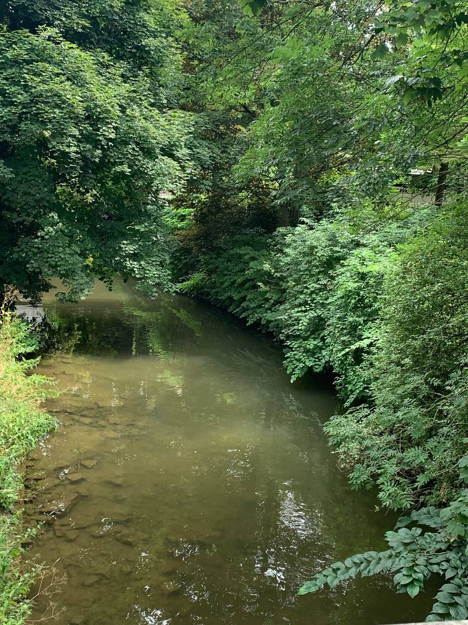 Scenic Green Spaces