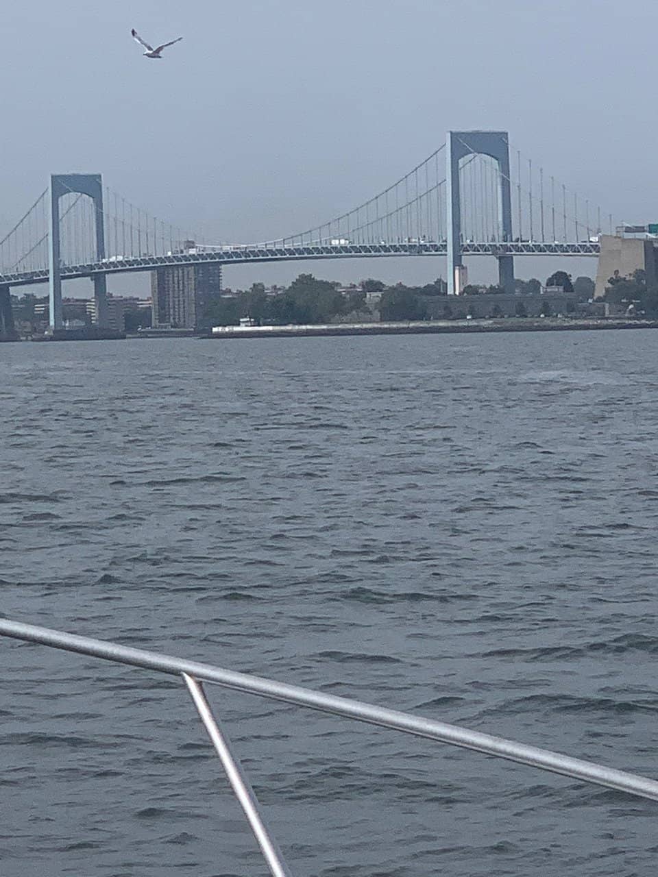 Iconic Suspension Structure