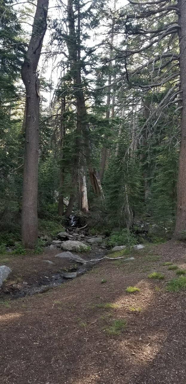 McLeod Lake Hike