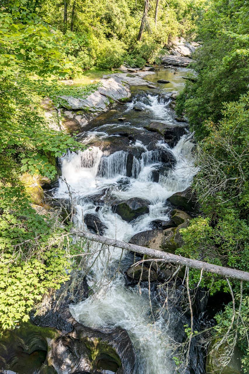 Vertical photo