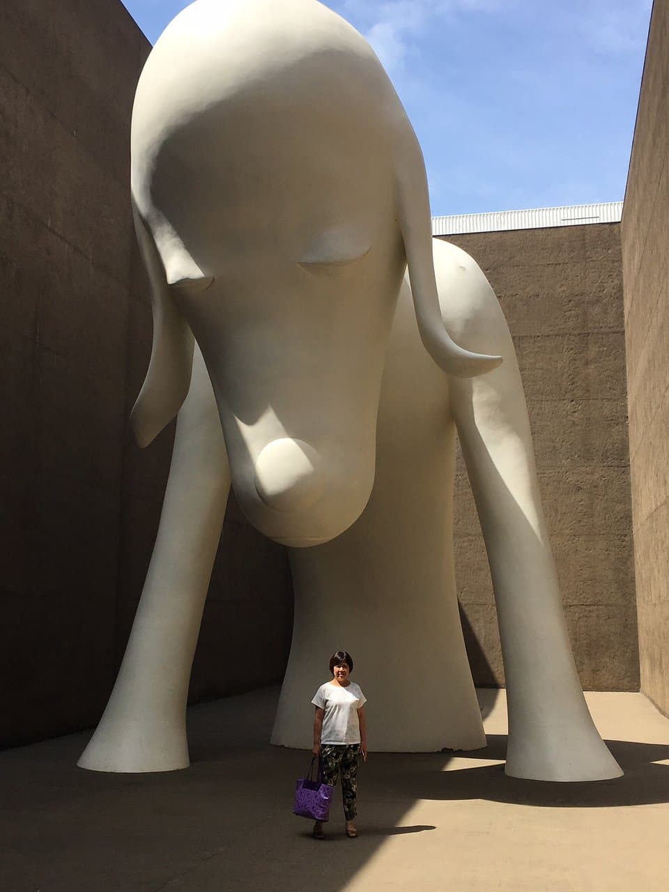 Aomori Museum of Art