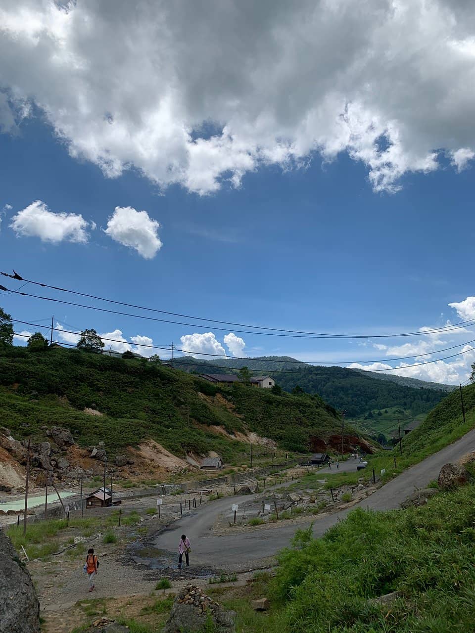 Alive Earth Landscape