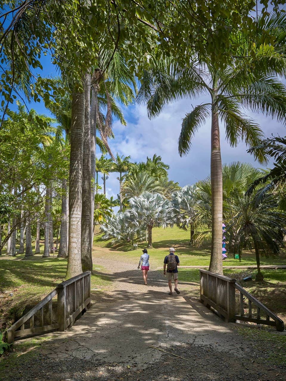 Botanical Gardens & Sculptures