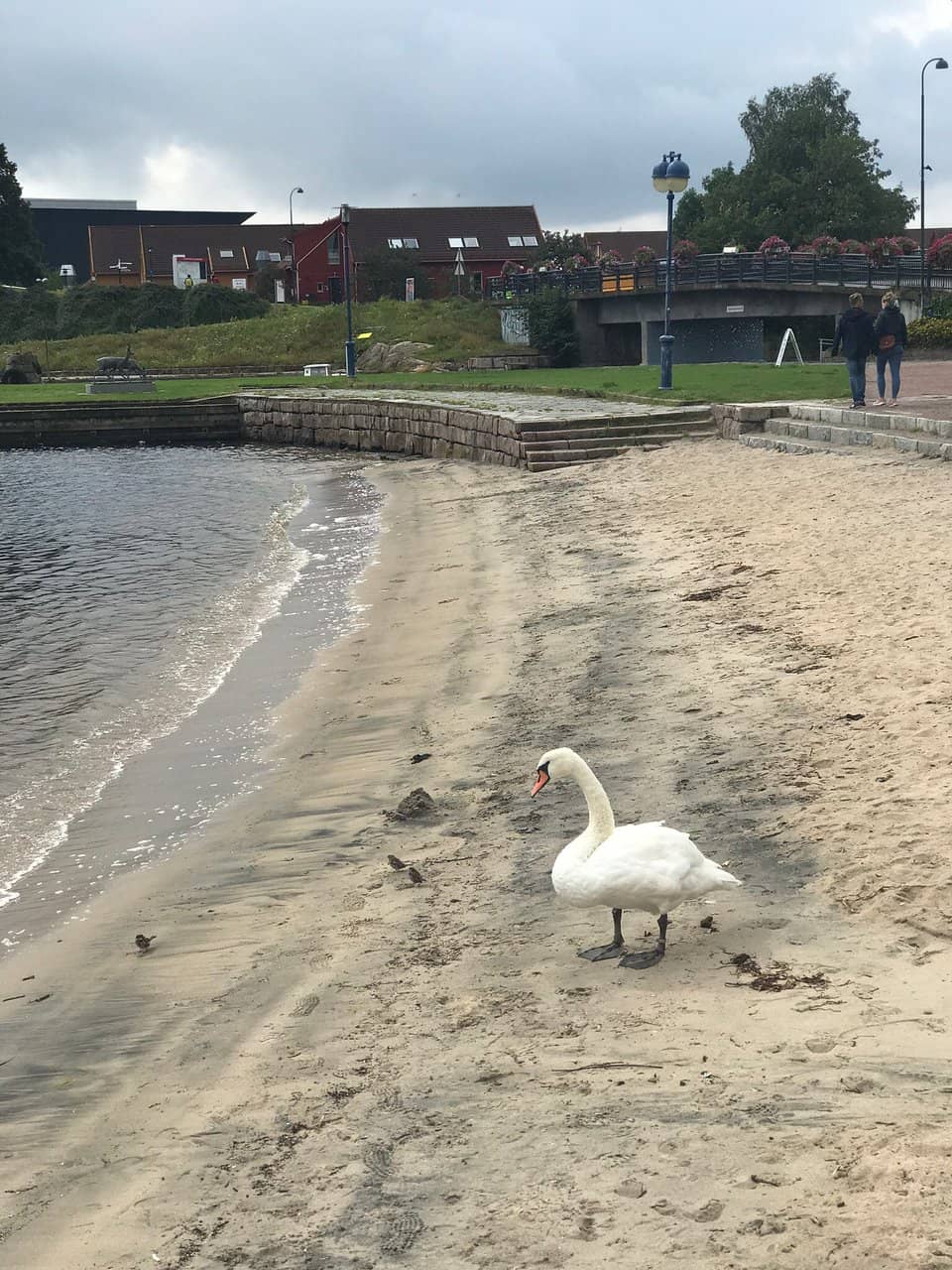The Seaside Fountain
