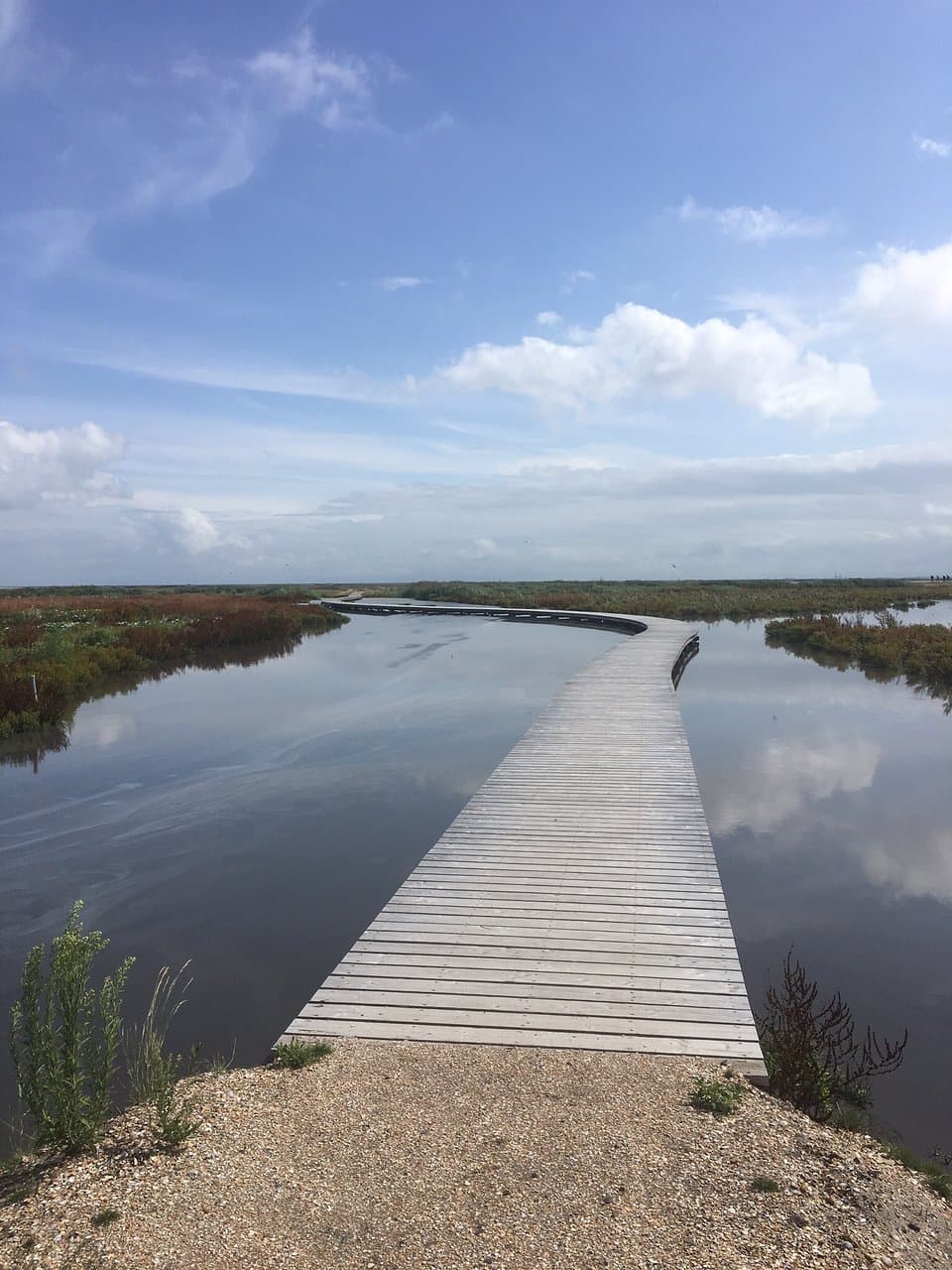 Marker Wadden