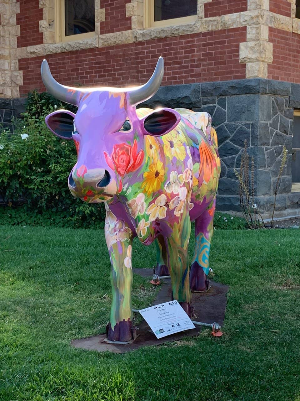 Fascinating Local Exhibits