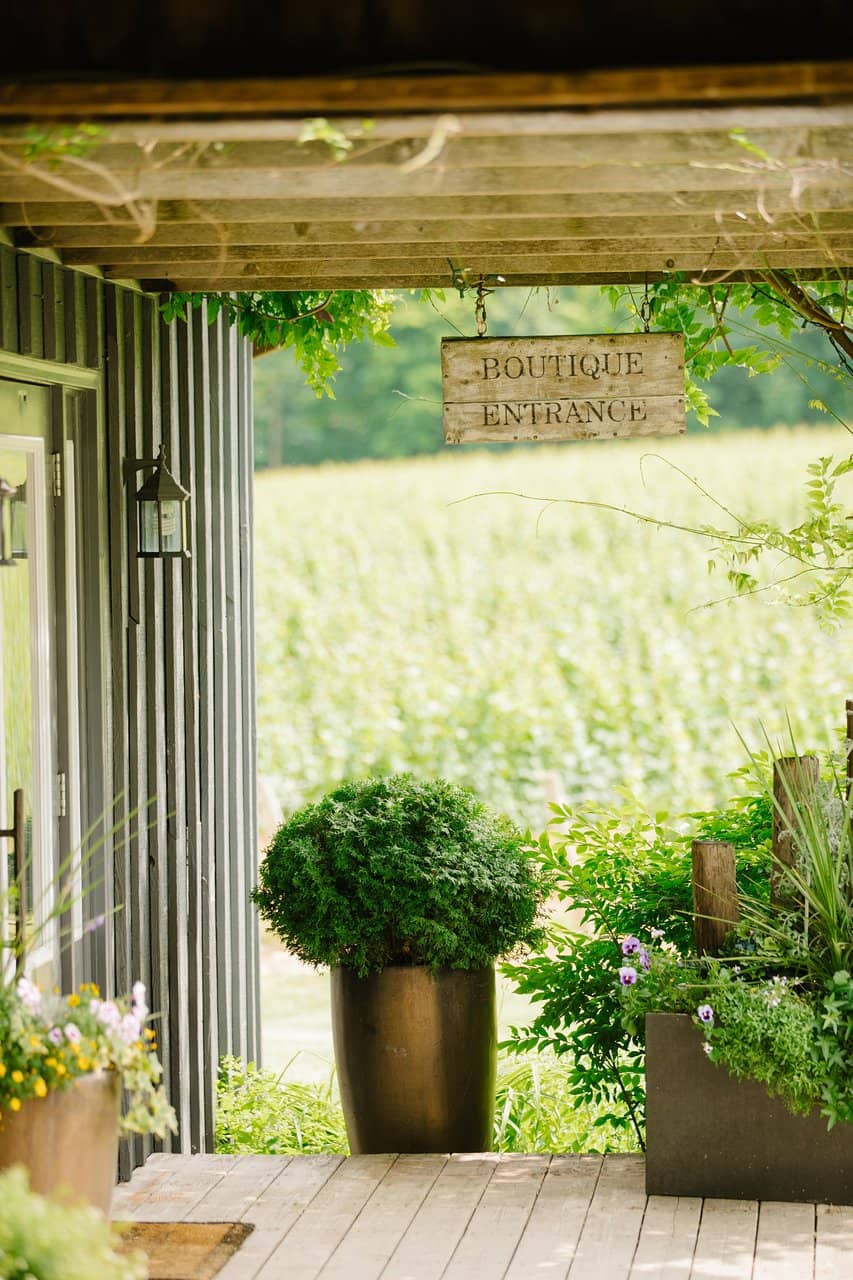 Scenic Vineyard Views