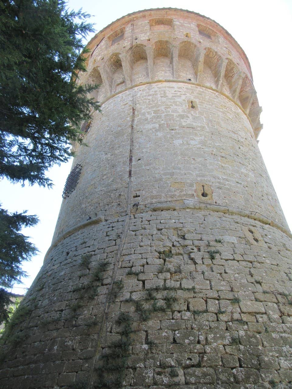 Vertical photo
