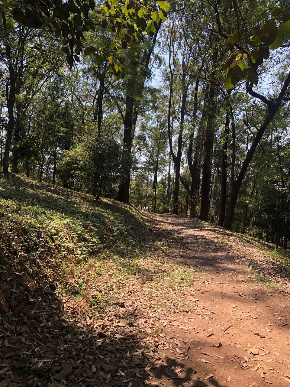 Children's Playgrounds