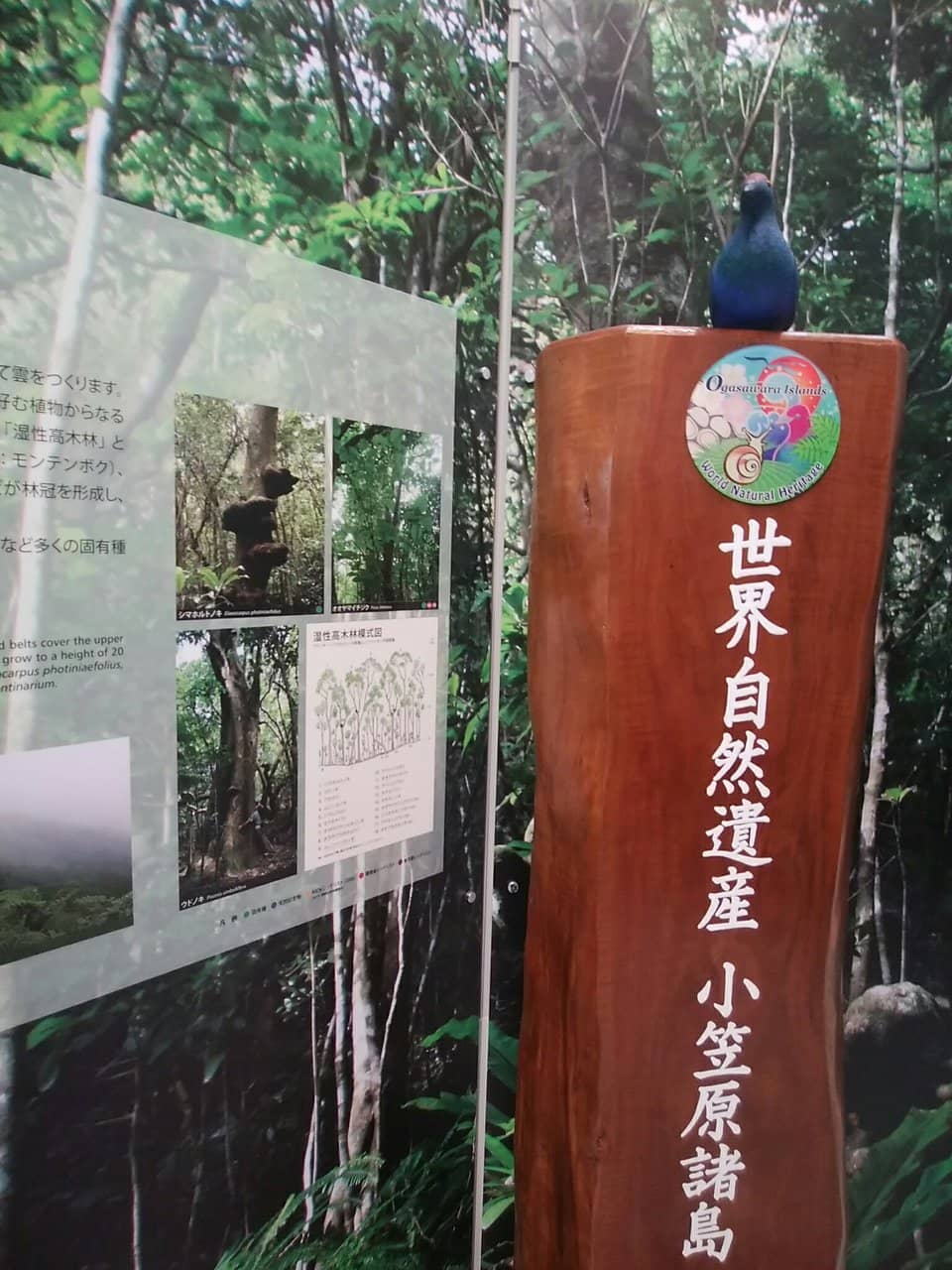 Marine Life Information