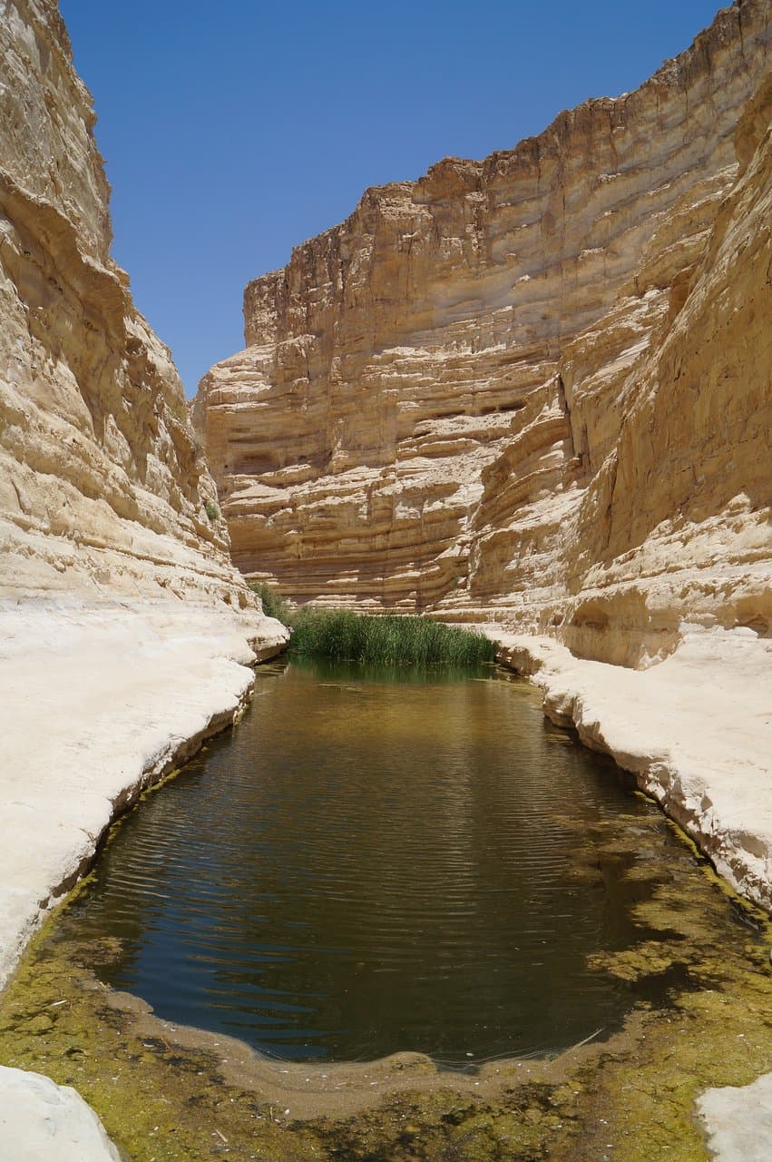 oasis in the desert