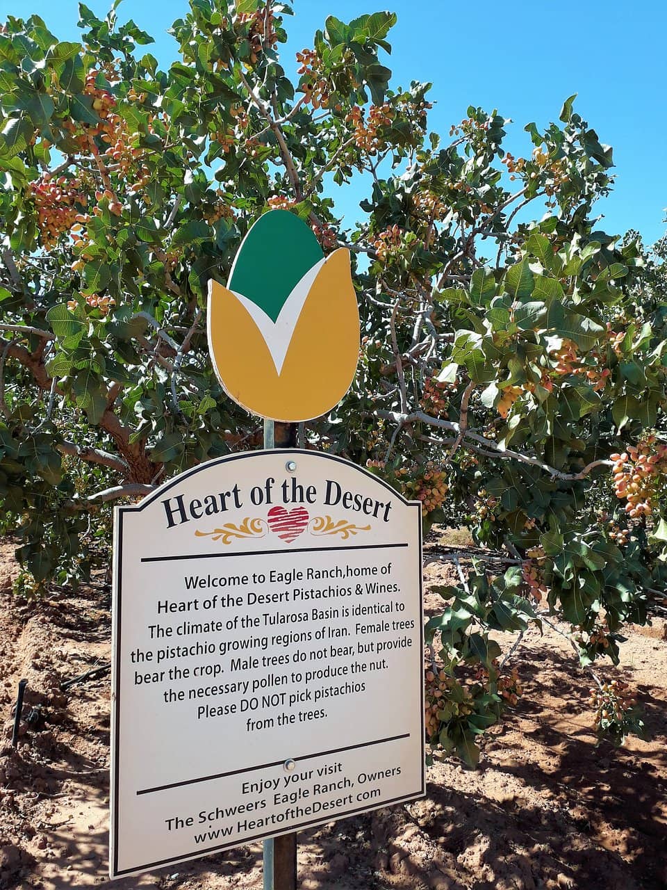 Pistachio Sampling Station