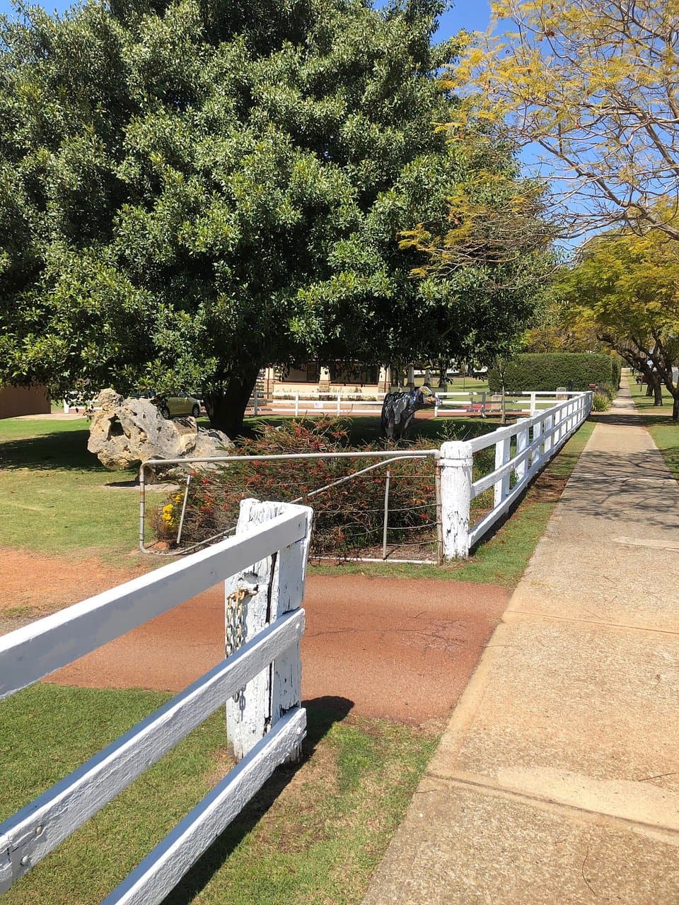 Neil McDougall Park and Lake