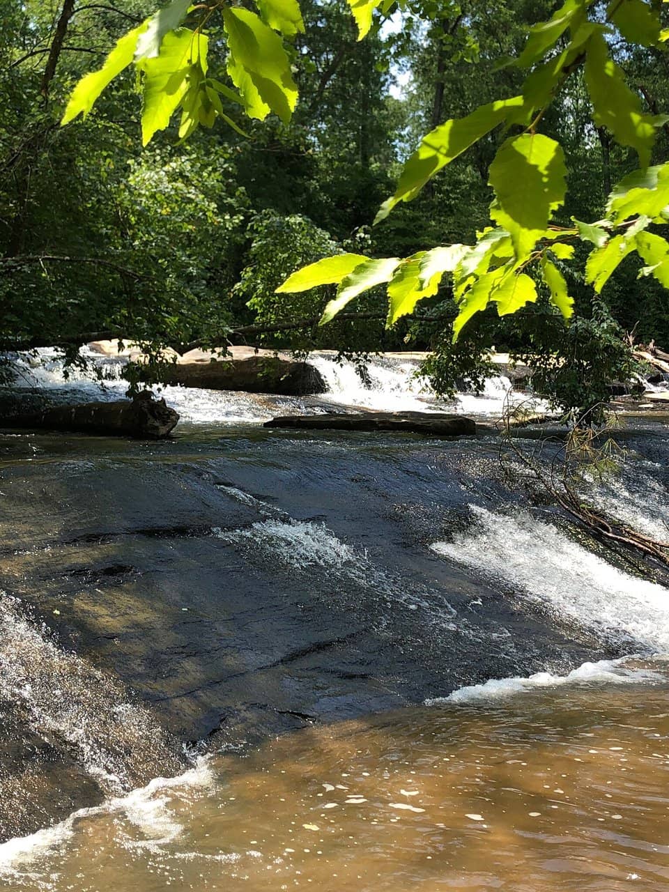 Kid-Friendly Playground