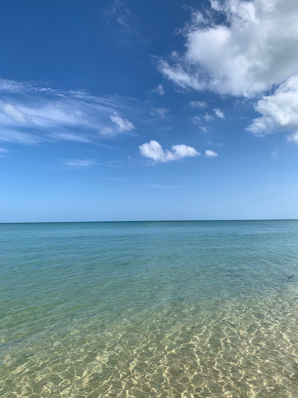 ヤハラヅカサの海