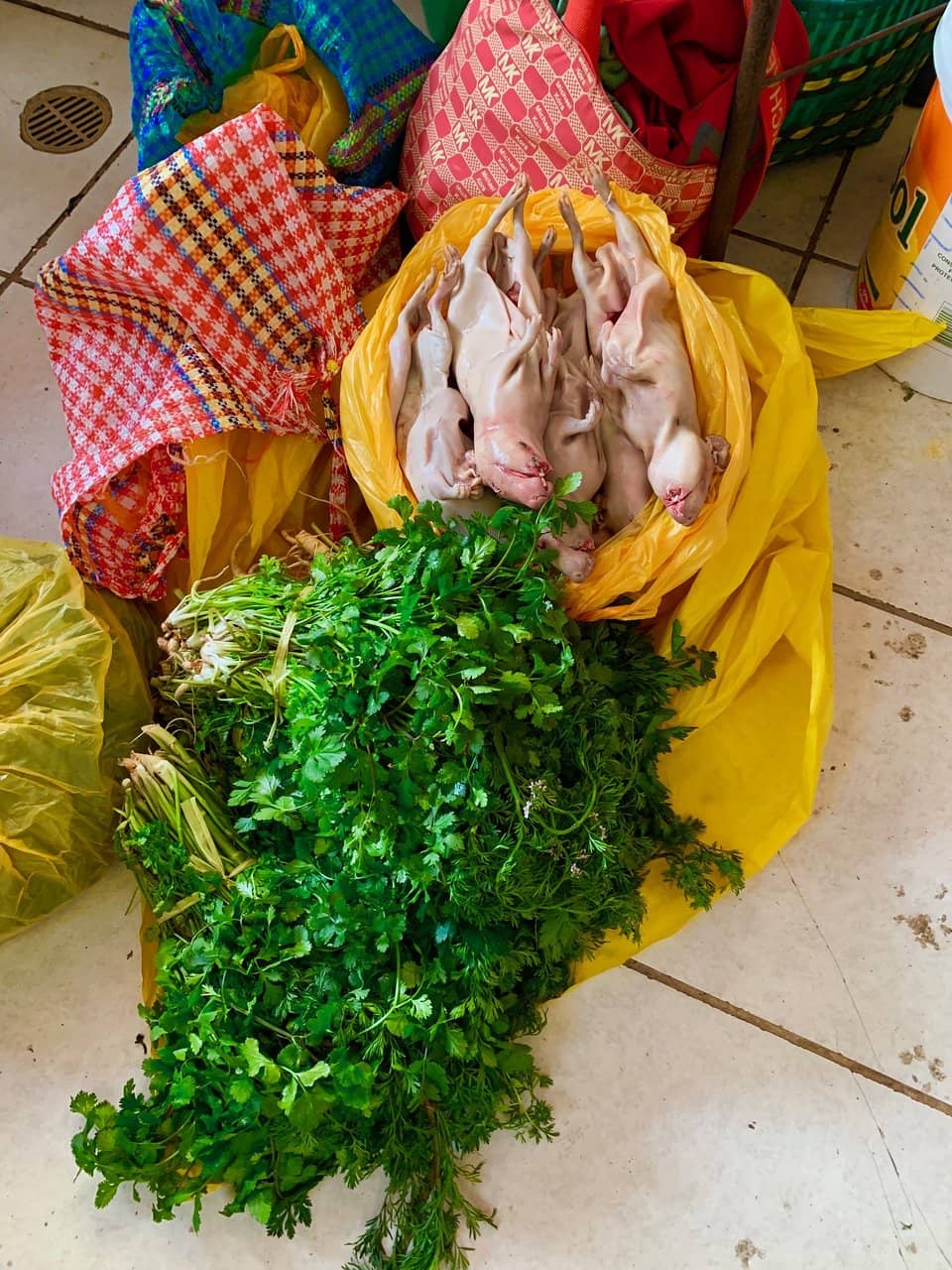 Local Market Experience