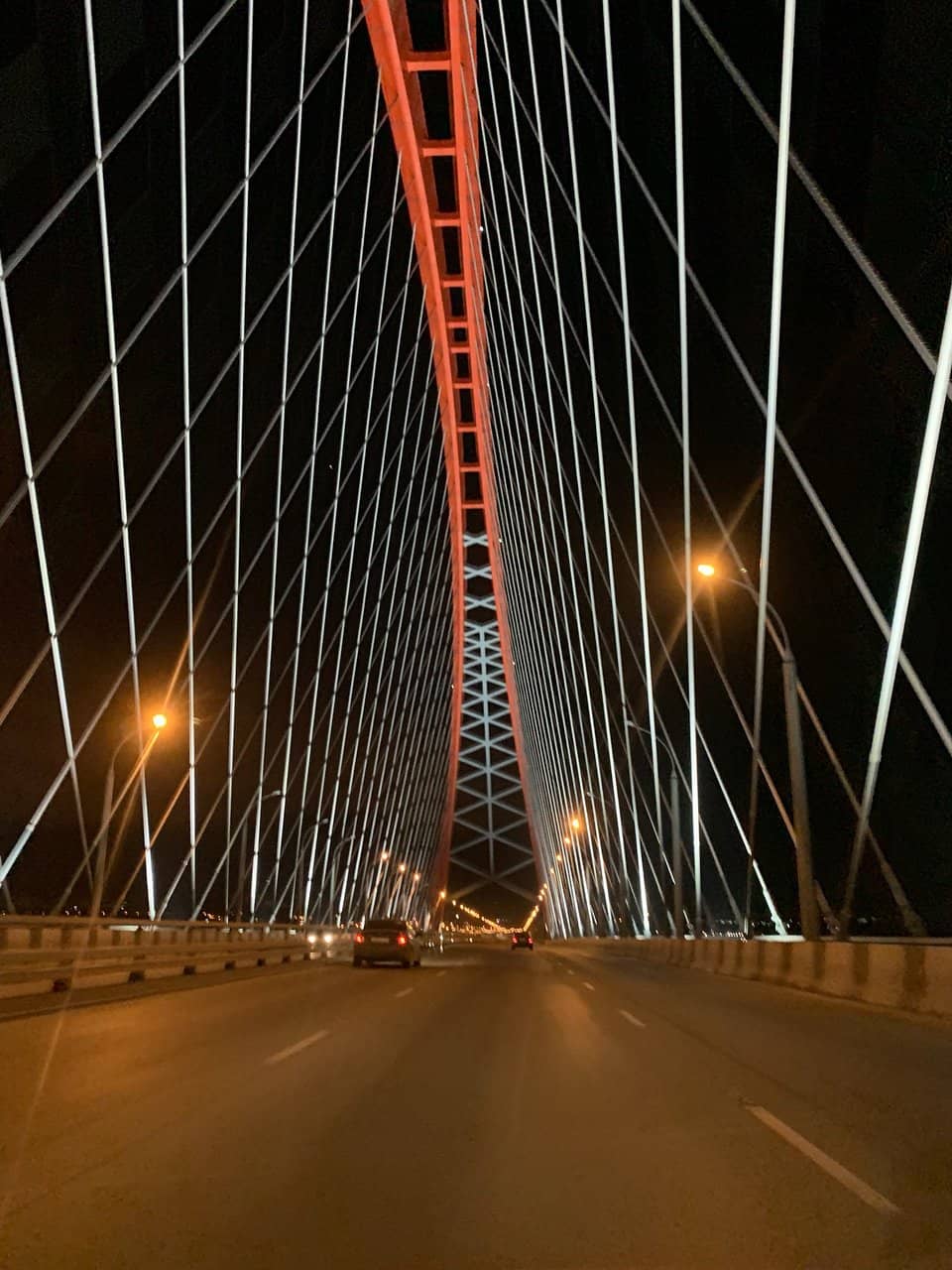 Bugrinsky Bridge Architecture