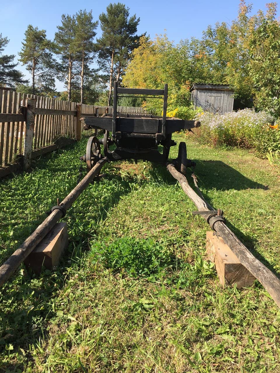 Masterclass Opportunities