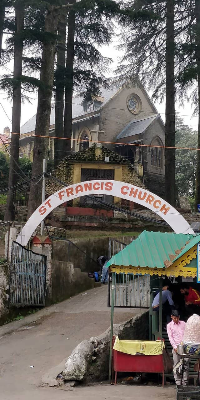 Tranquil Deodar Surroundings