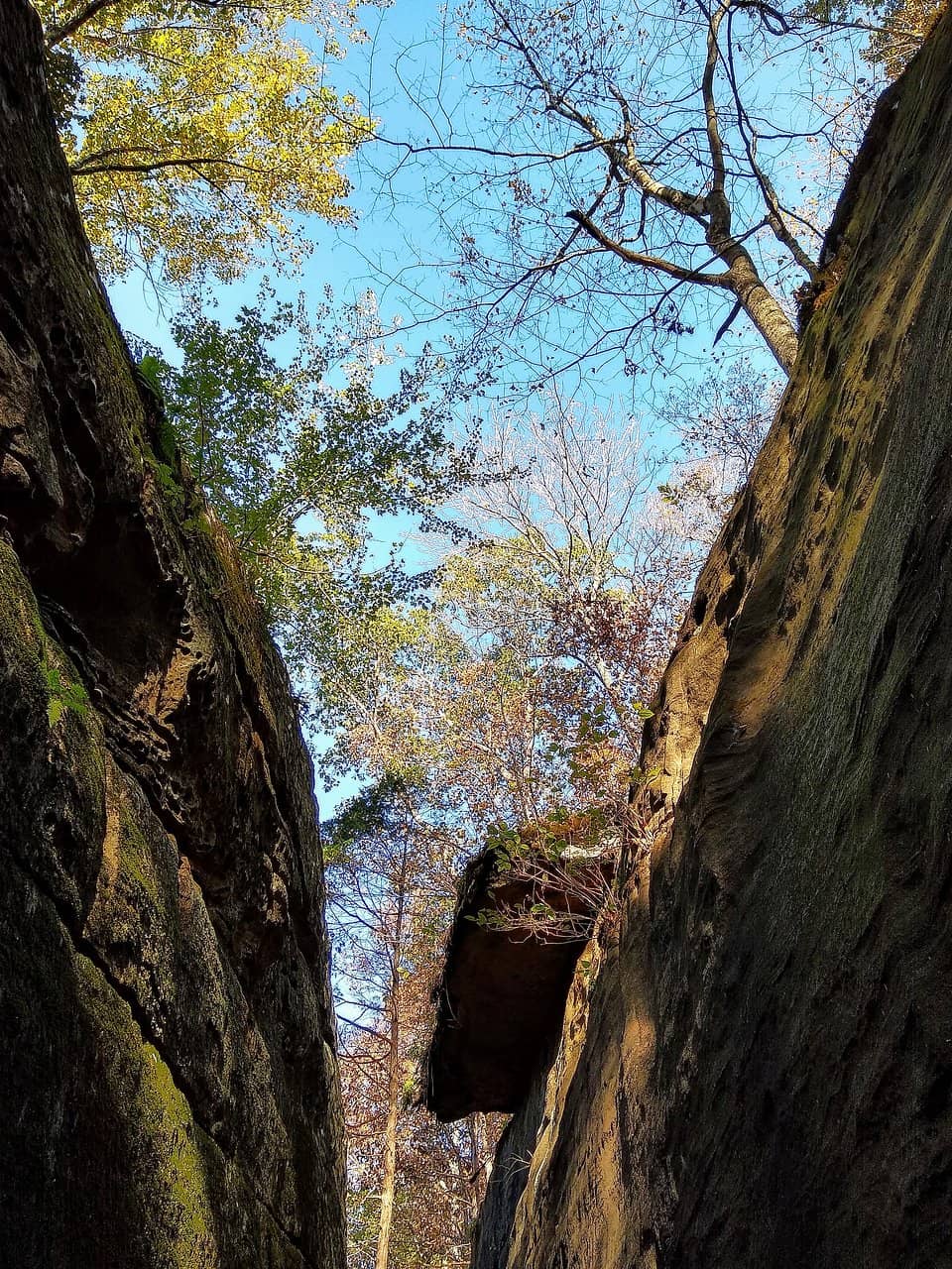 Vertical photo