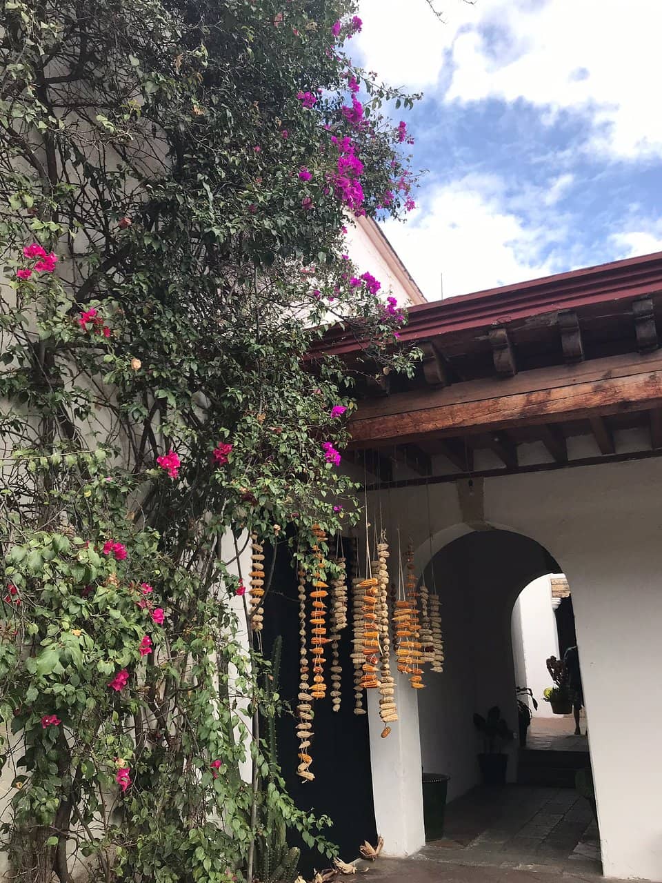 Manuel Álvarez Bravo's Legacy