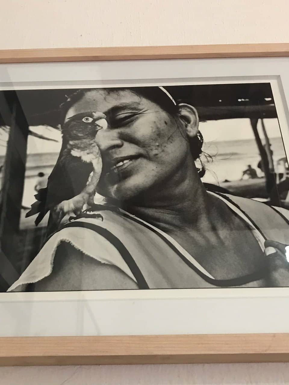 Contemporary Photography Exhibits