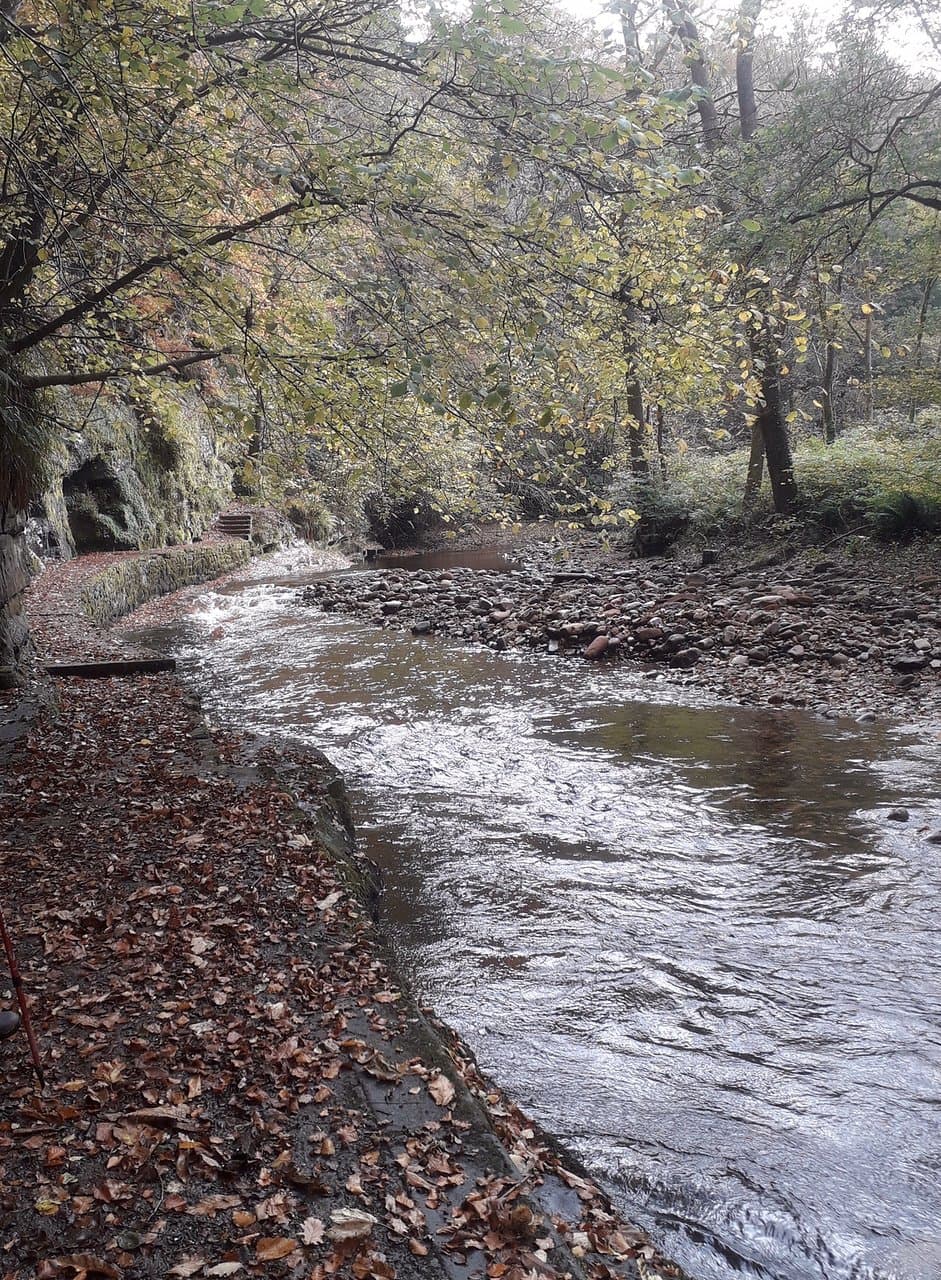Park in the little car park and walk up this magical valley gorge. Rocks cut out by the raging river Gelt, fed by many streams coming off the pennine hills. Walk up and look at the Roman Graffiti left there by bored soldiers guarding the slaves hacking out the stone from the quarries.