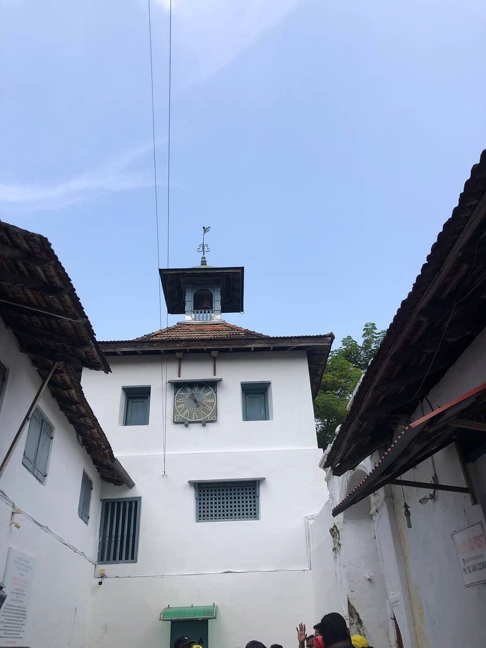 Vertical photo