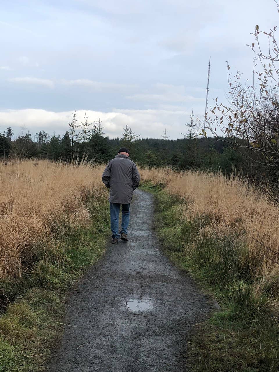 Woodland Trails