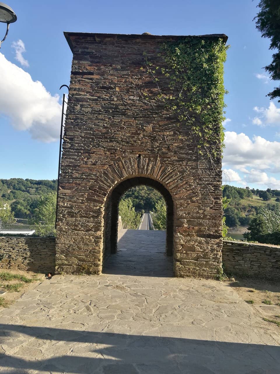 Vertical photo