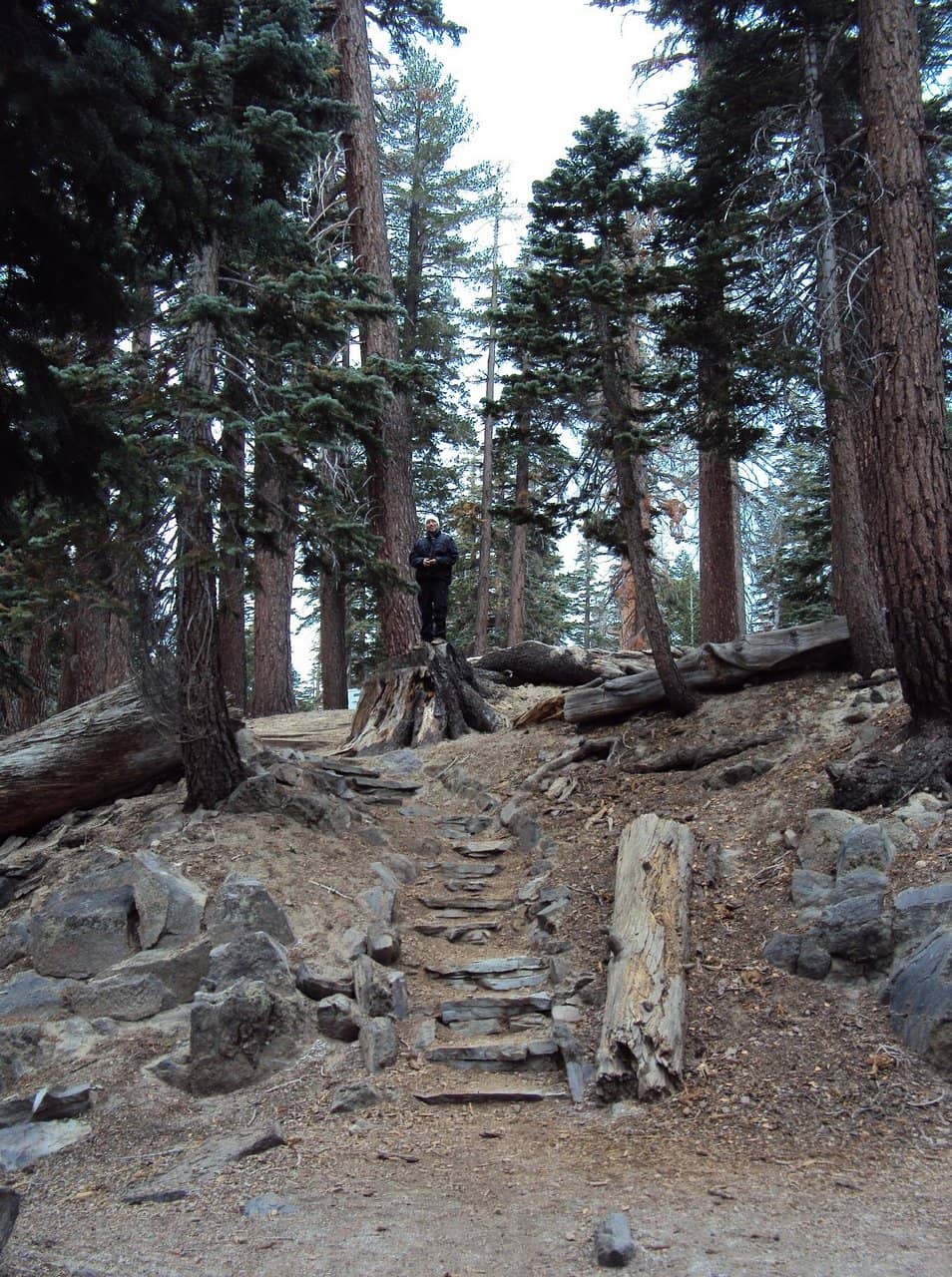 Vertical photo