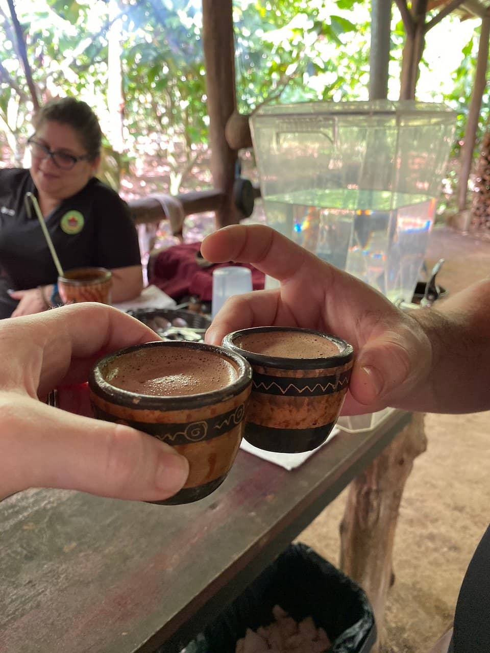 Rainforest Immersion