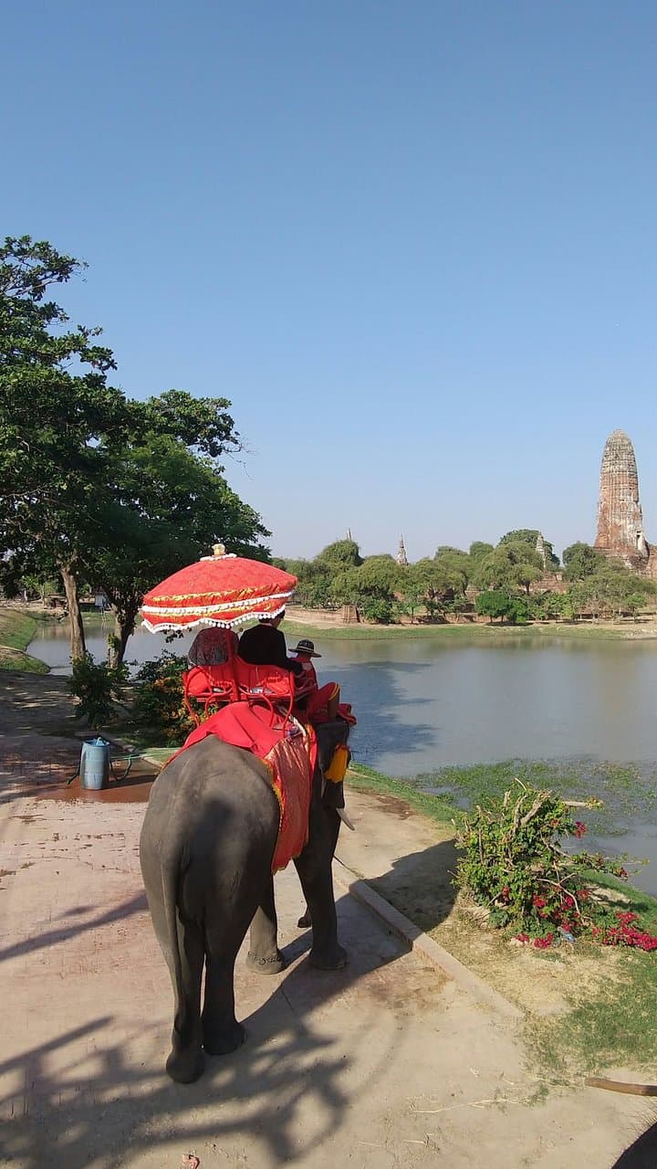 Ayutthaya Elephant Palace and Royal Kraal