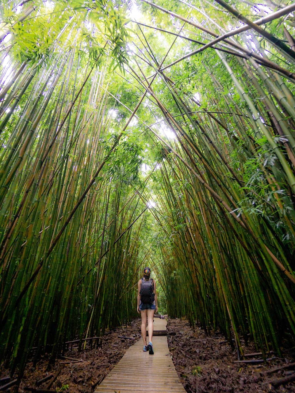 Pipiwai Trail