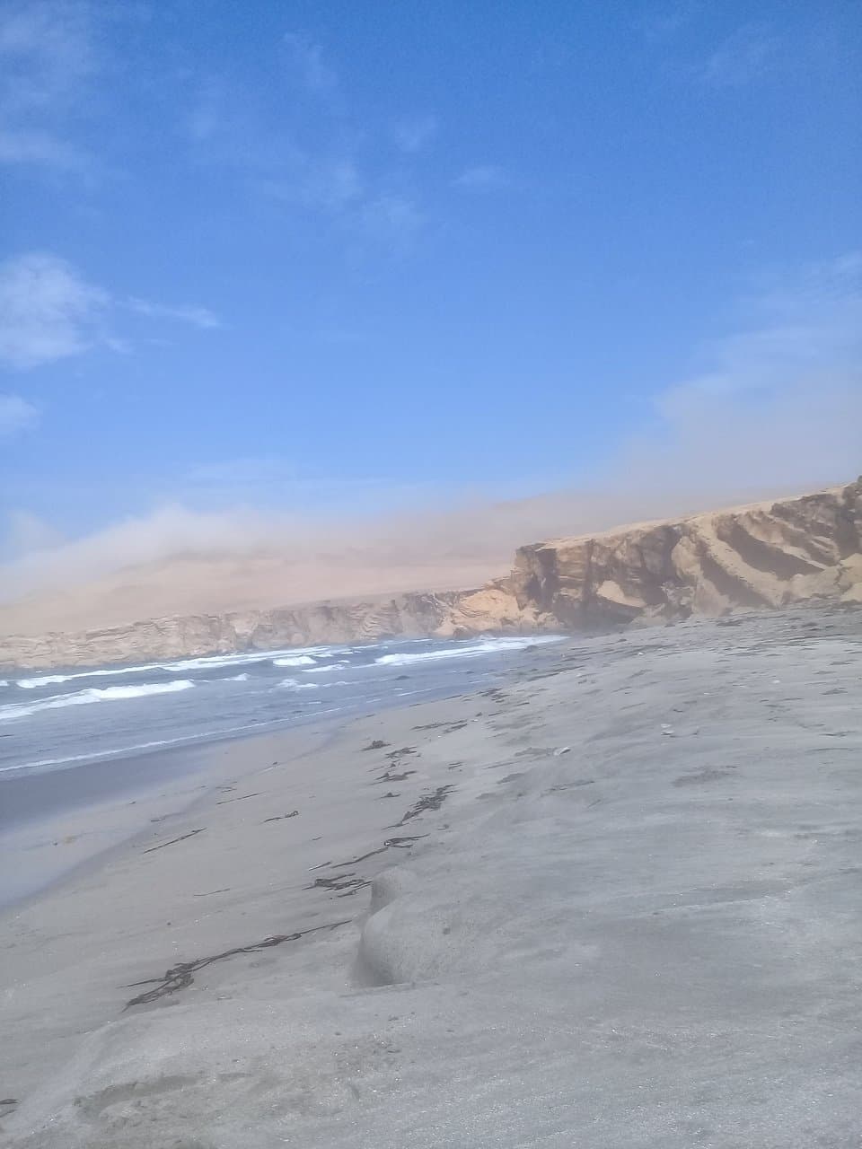HERMOSURA DE LA PLAYA ARQUILLO, PARACAS-PISCO/PERÚ