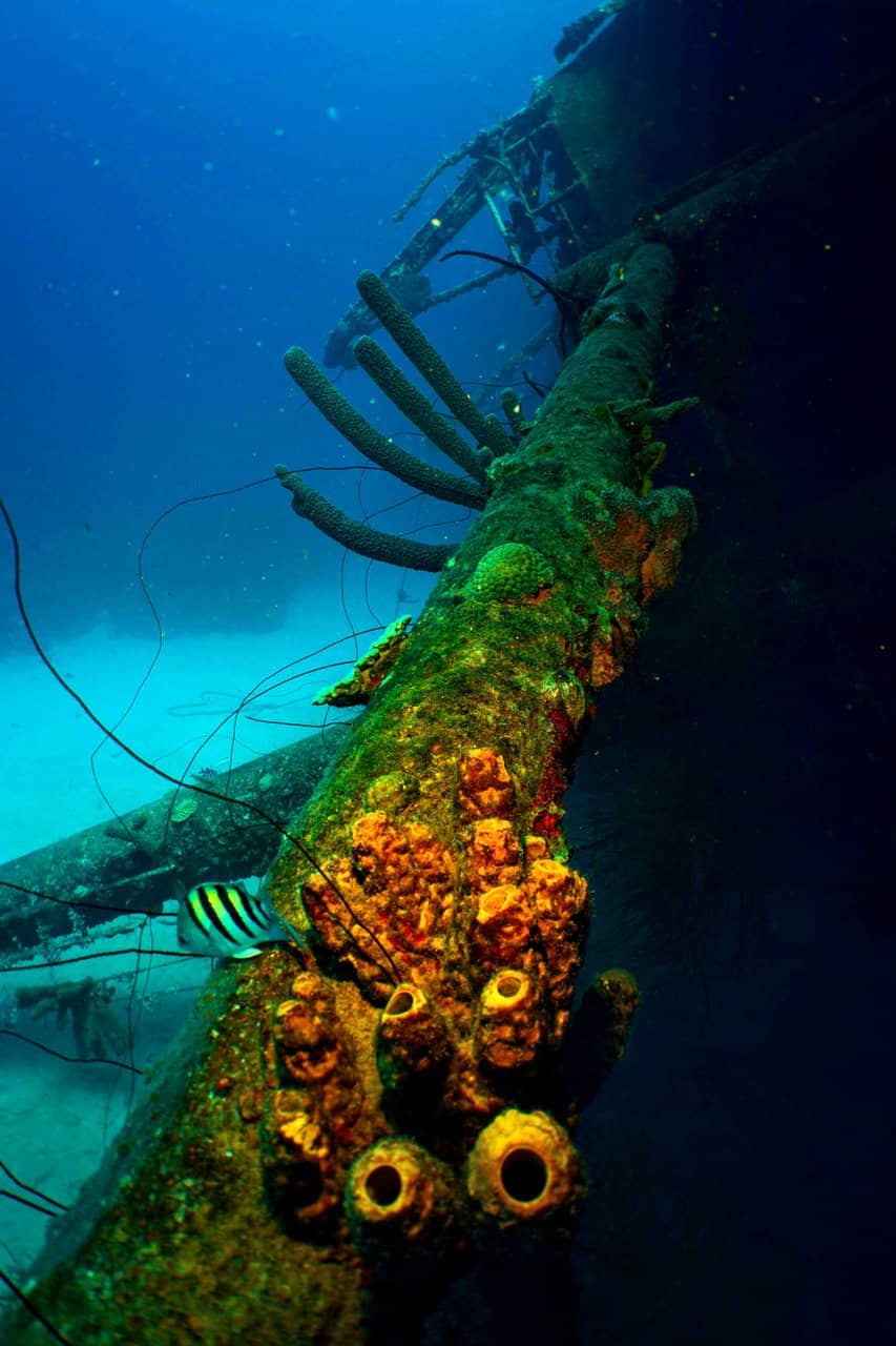 The Massive Hull