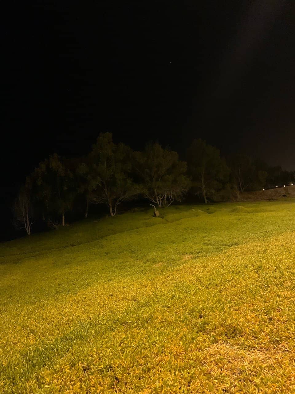 Sprawling Green Spaces