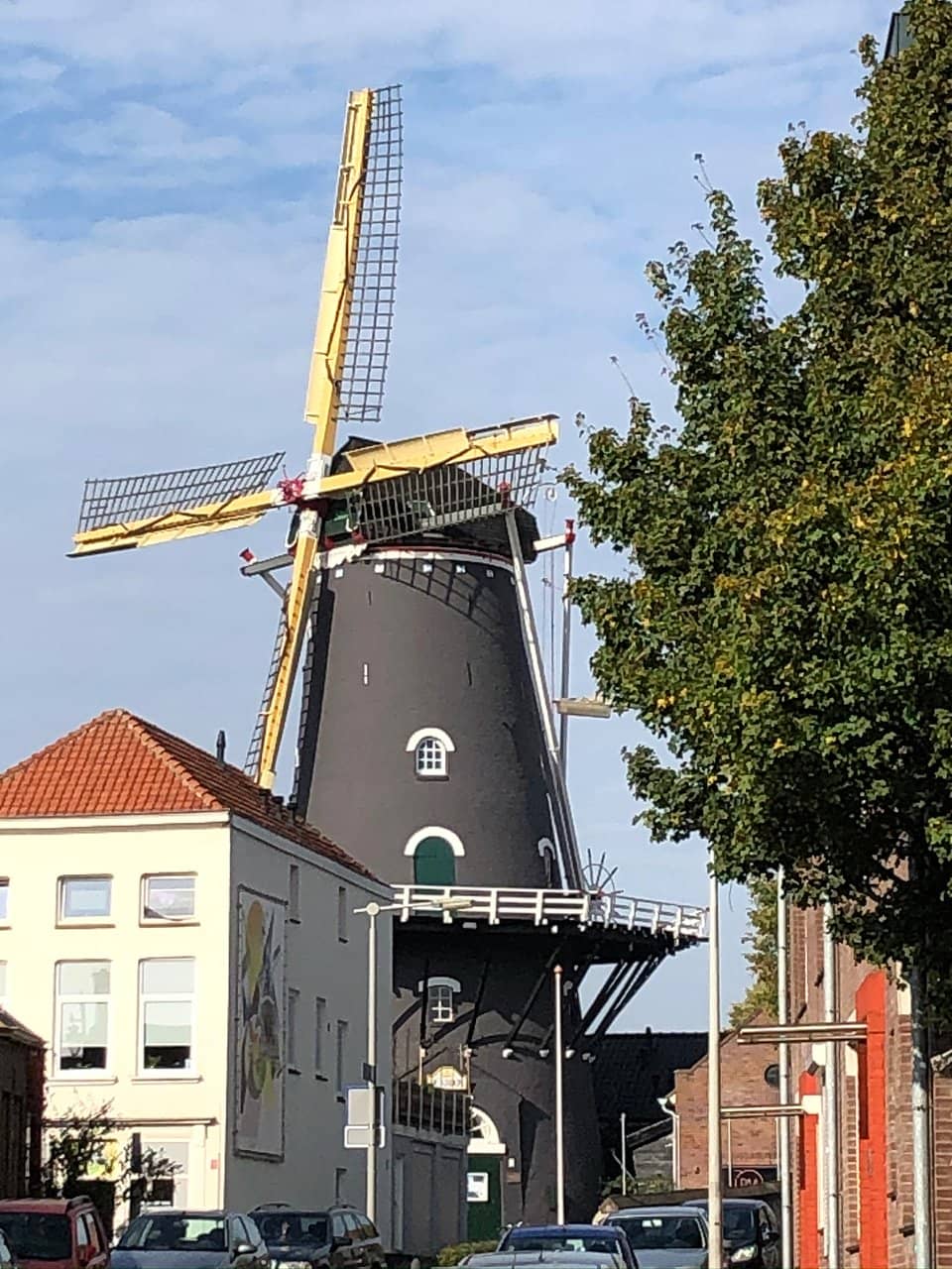 Vertical photo