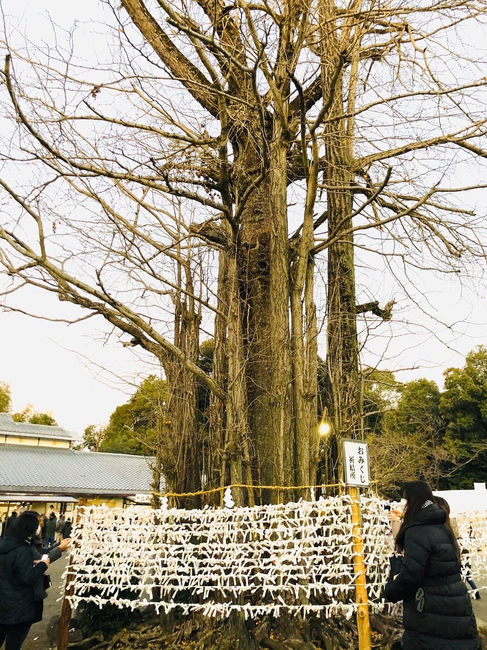 Main Shrine Hall