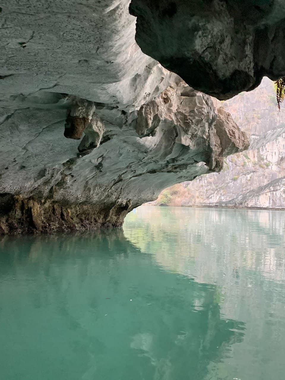 Indiana Jones Adventure