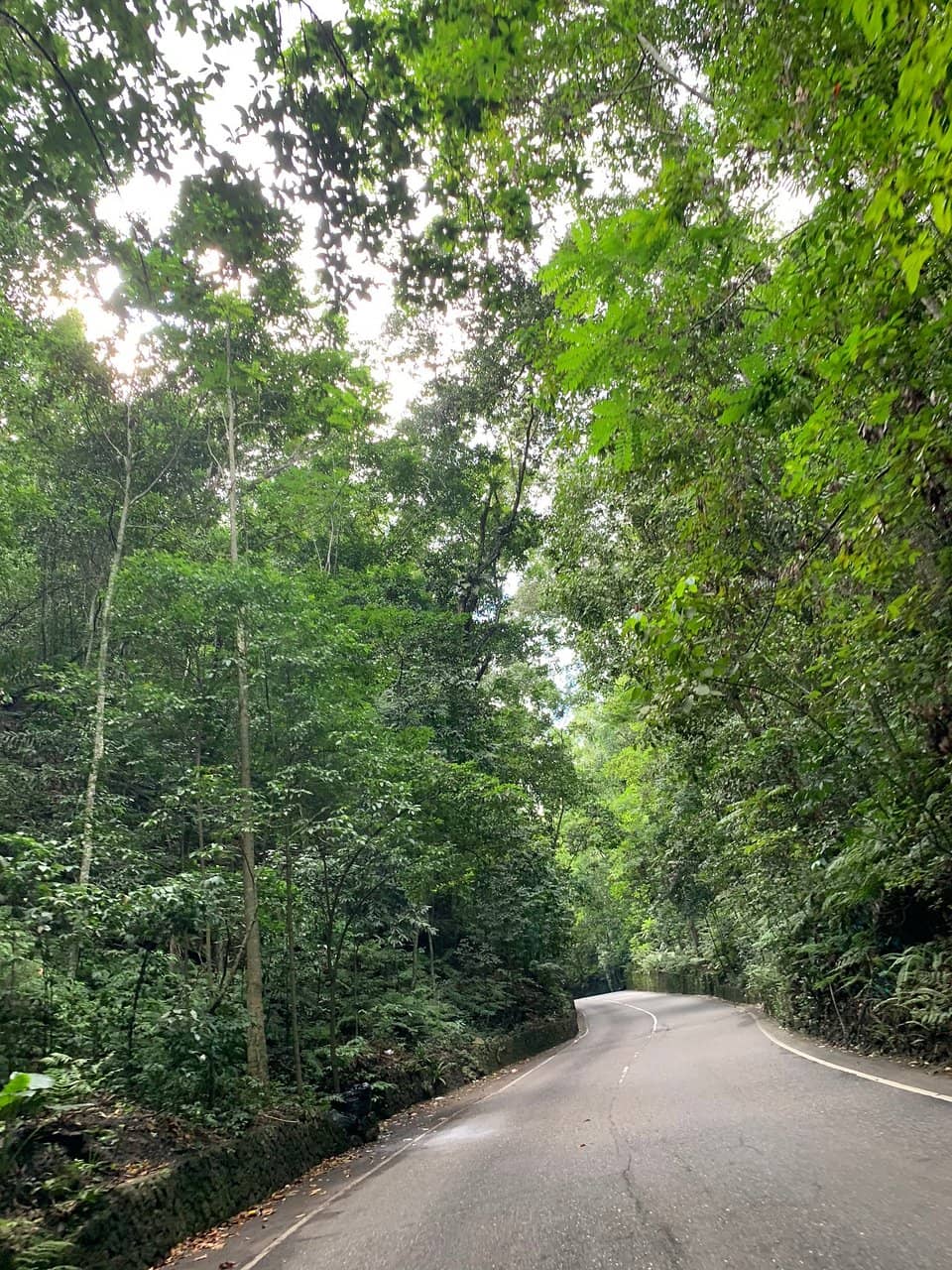 Cooling Temperature Change