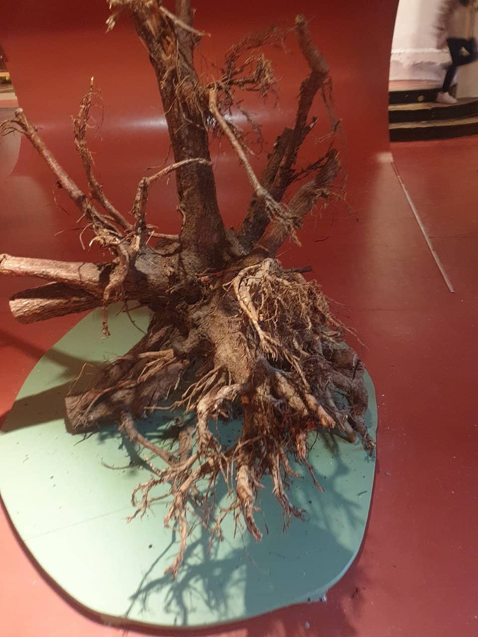 Schwitzen & Frieren Exhibition