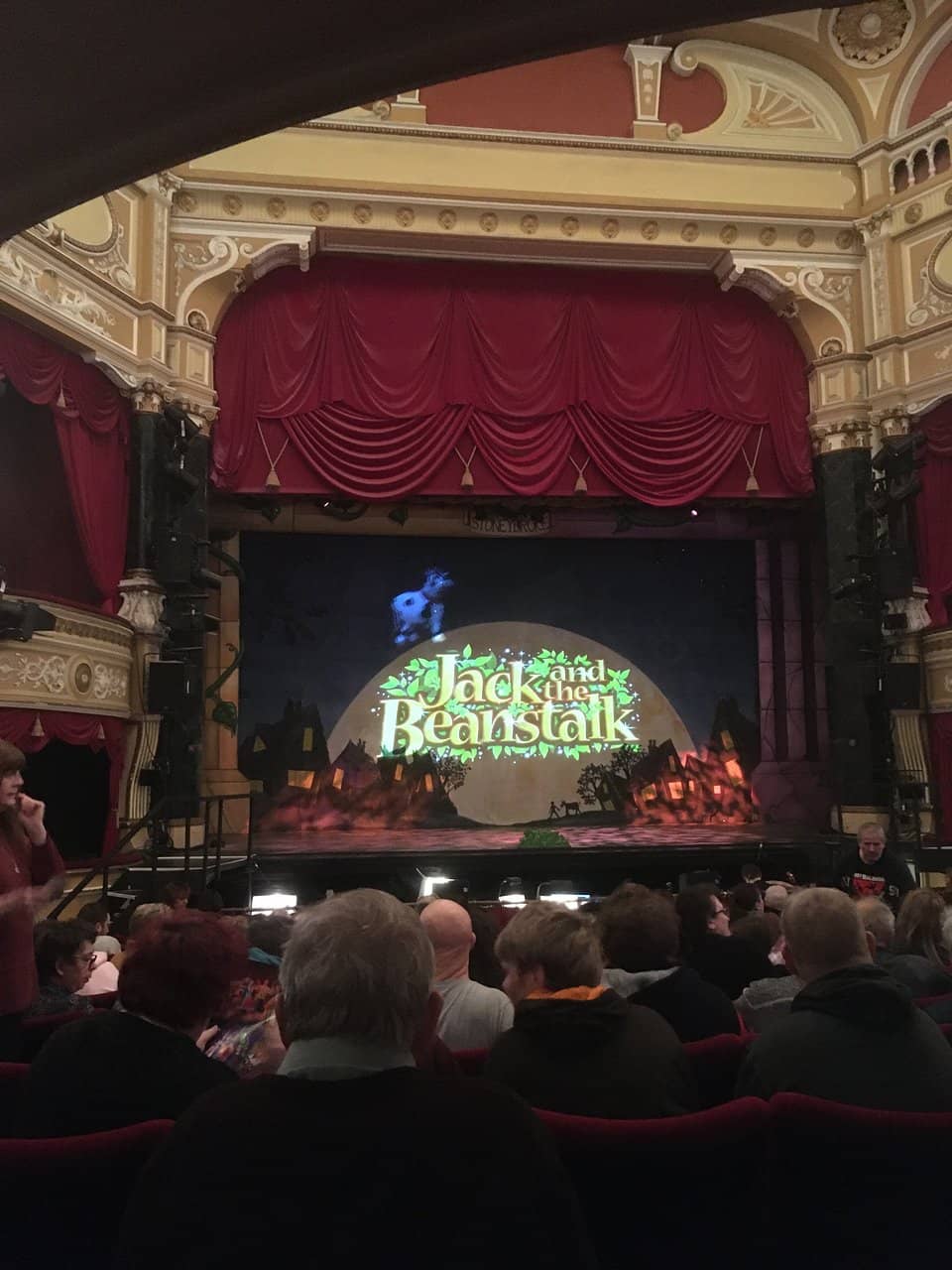 Lively Panto Performances