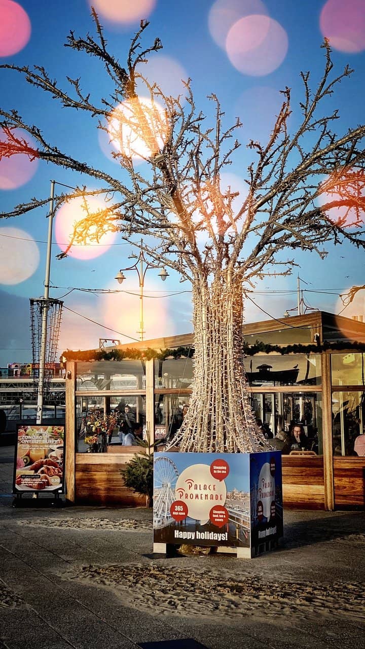 Shopping & Dining Delights