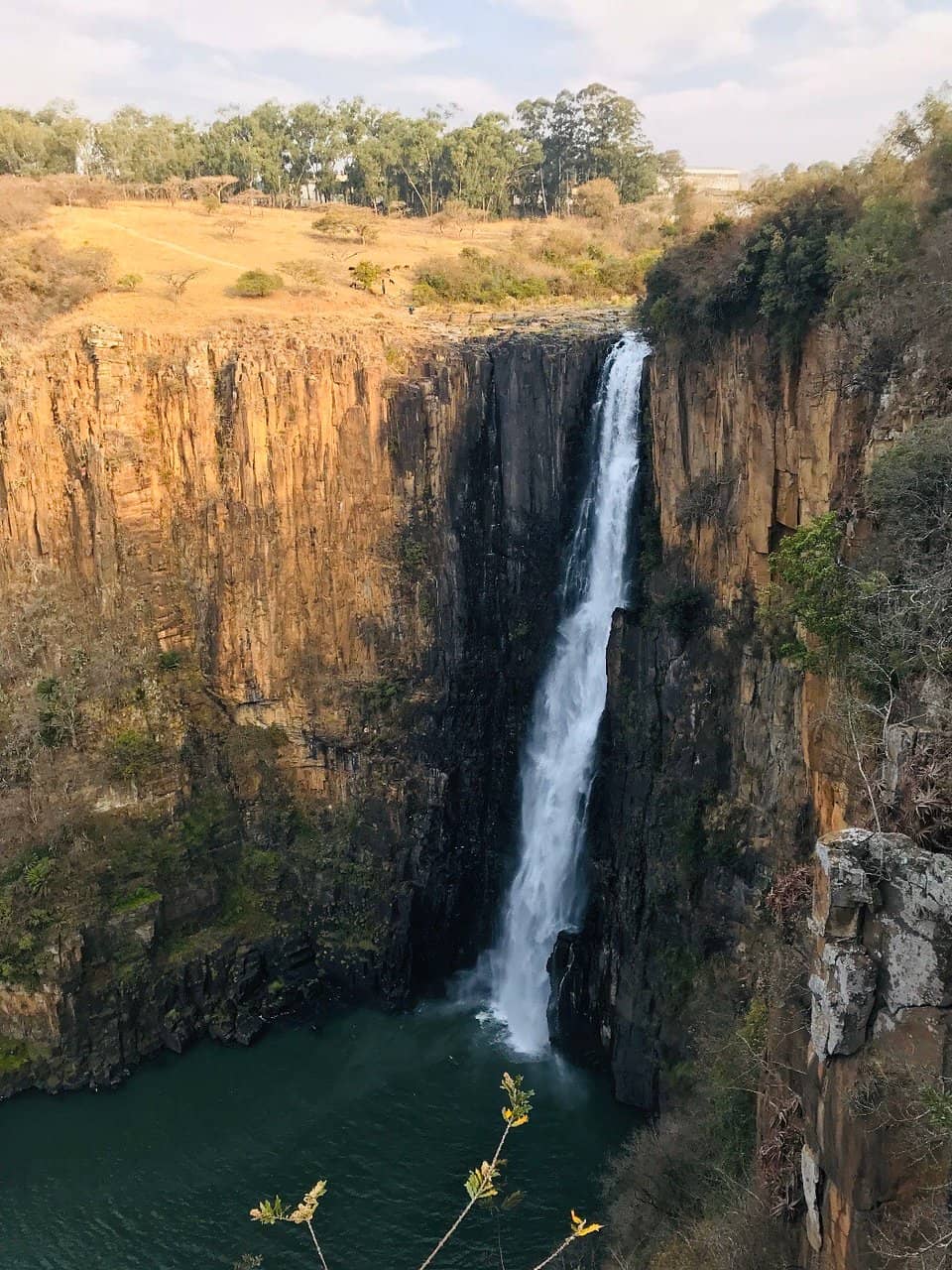 Vertical photo