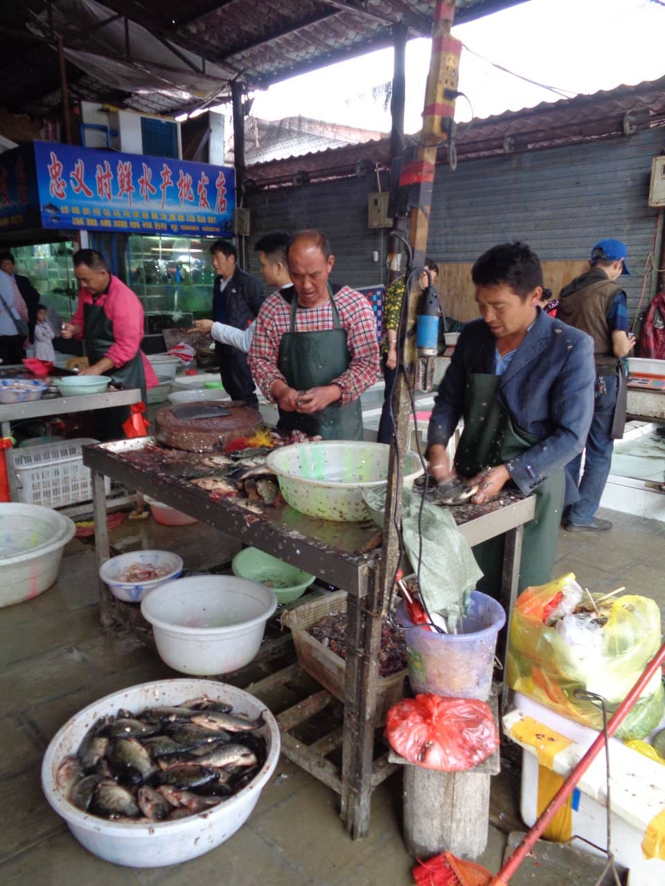 Authentic Local Experience